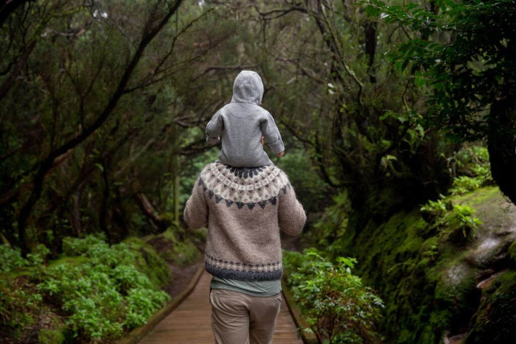 child custody high earner